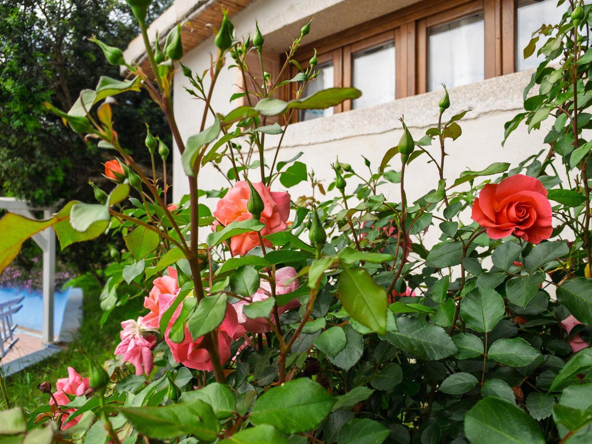 פוסאדה Agriturismo Guparza מראה חיצוני תמונה