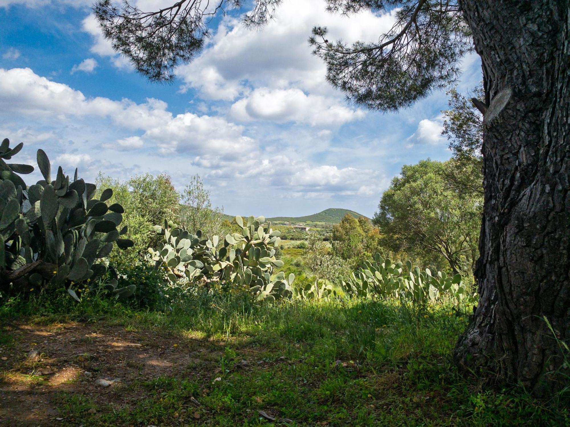 פוסאדה Agriturismo Guparza מראה חיצוני תמונה