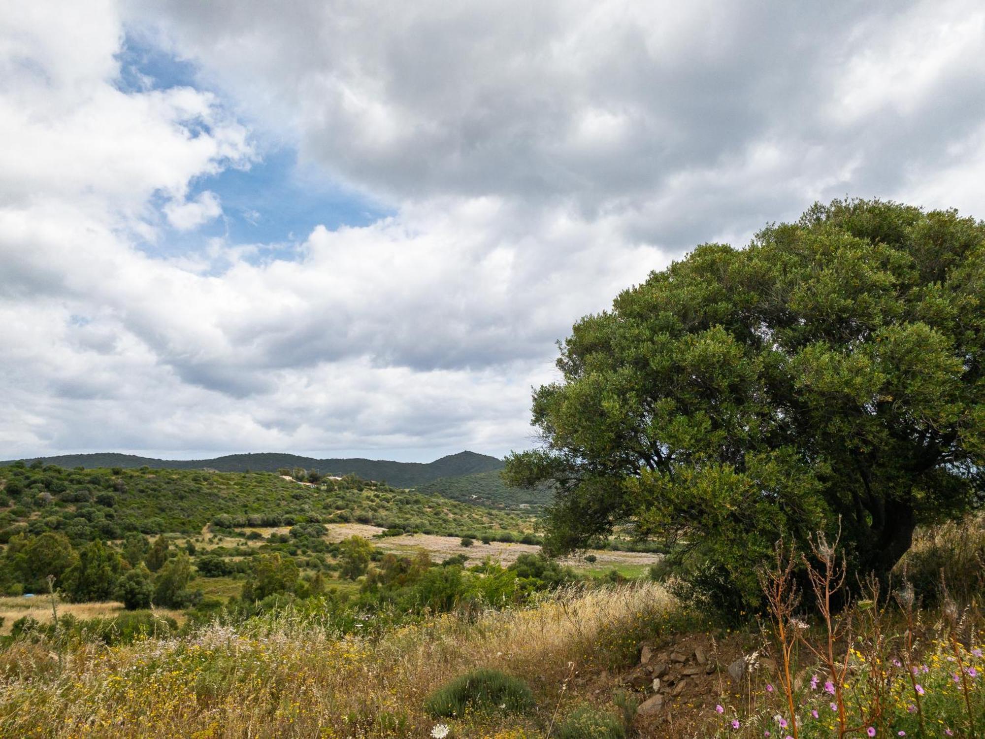 פוסאדה Agriturismo Guparza מראה חיצוני תמונה